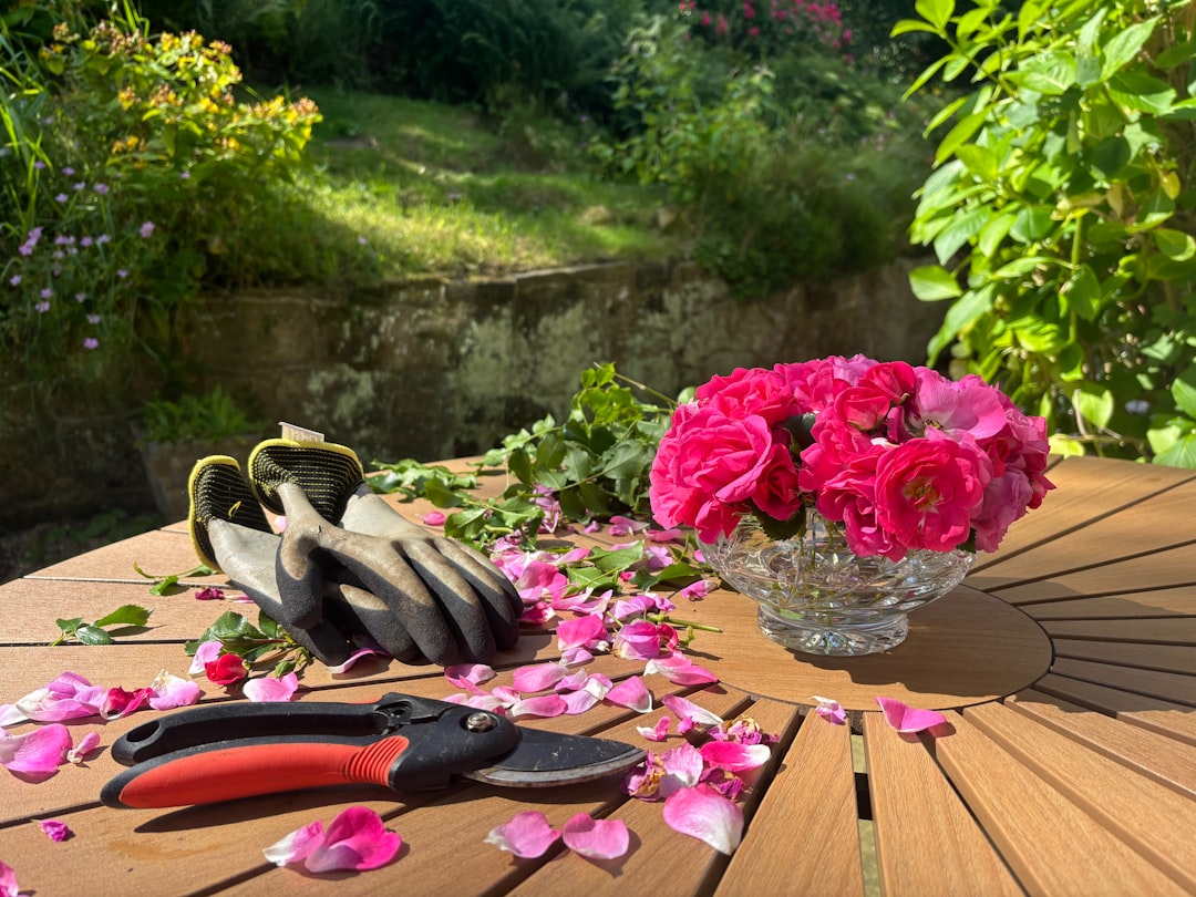 Professional Garden Shears