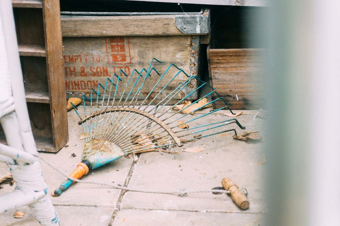 Telescopic Garden Rake